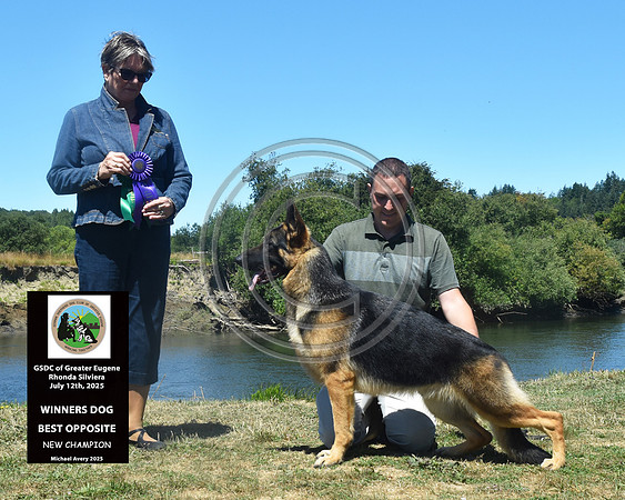 Winners Dog Best Opposite New Champion