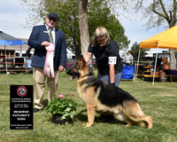 Reserve Futurity Dog