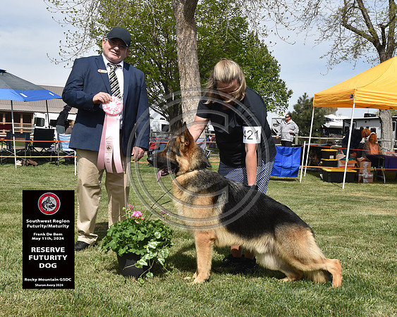 Reserve Futurity Dog