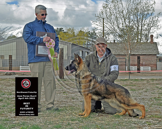 Best in Futurity