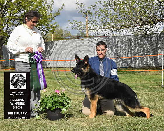 Reserve Winners Bitch Best Puppy