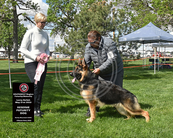 Reserve Futurity Dog