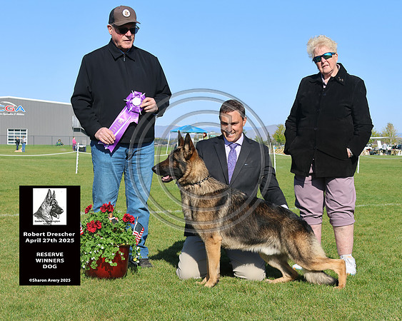 Reserve Winners Dog