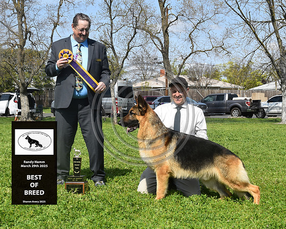 Best of Breed