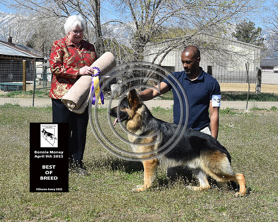Best of Breed