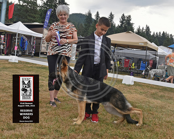 Reserve Winners Dog