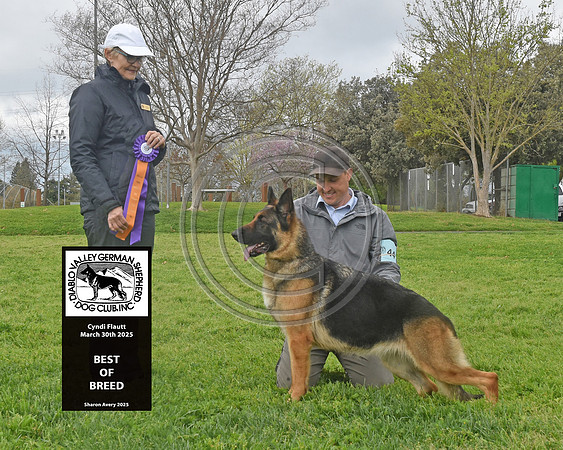 Best of Breed