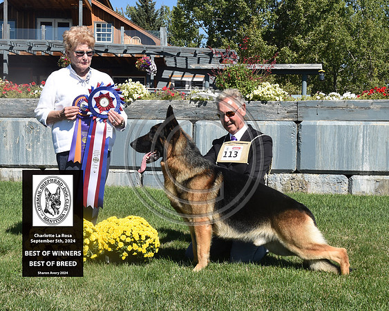 Best of Winners Best of Breed