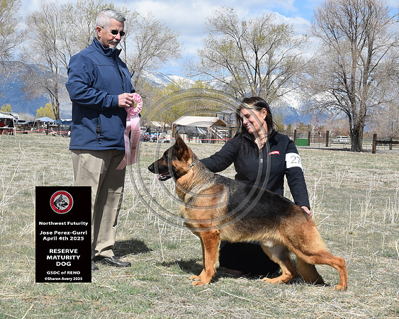 Reserve Maturity Dog