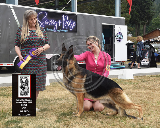 Best of Breed