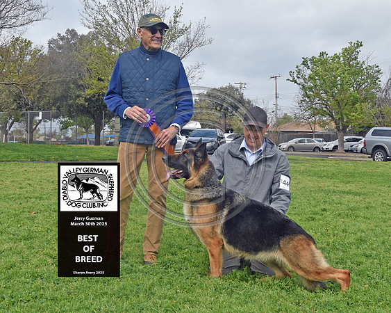 Best of Breed