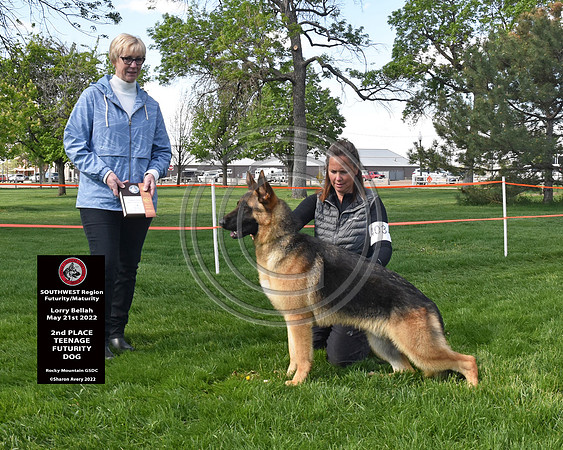 2nd Teenage Futurity Dog