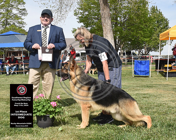 1st Intermediate Dog