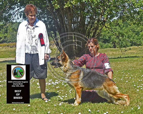 Best of Breed