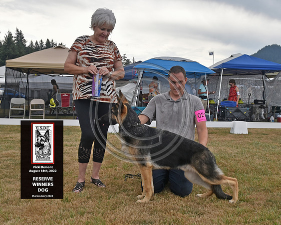 Reserve Winners Dog