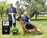 Select Dog