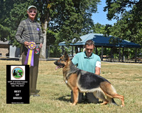 Best of Breed