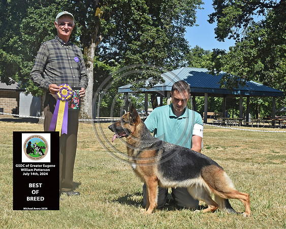 Best of Breed