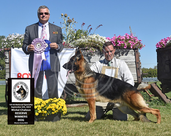 Reserve Winners Dog
