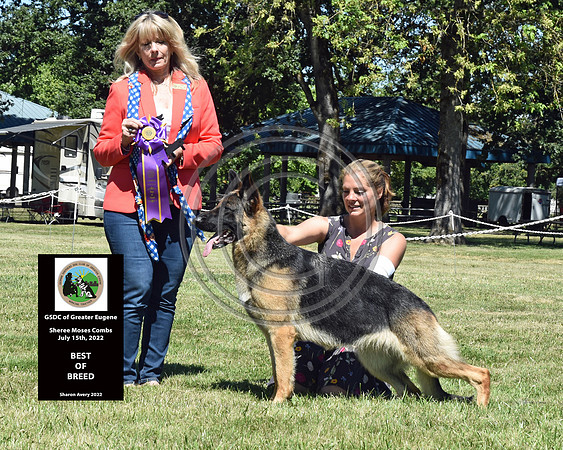 Best of Breed