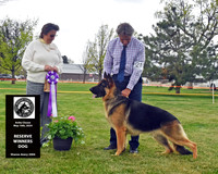 Reserve Winners Dog