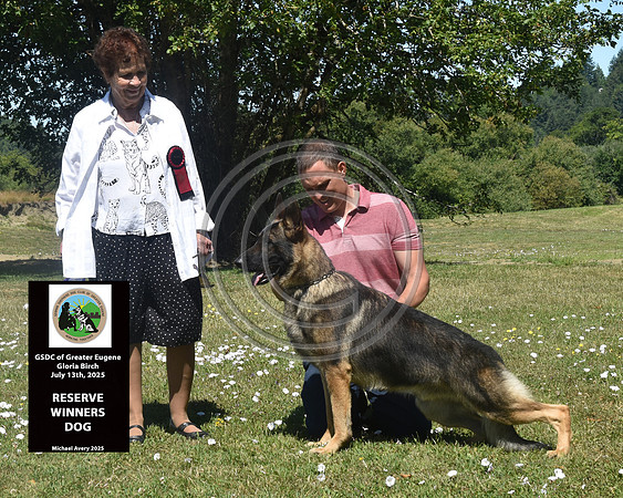 Reserve Winners Dog