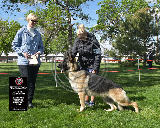 3rd Teenage Futurity Dog