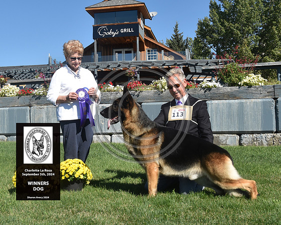 Winners Dog