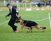 Movement NW Futurity