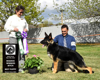 Reserve Winners Bitch Best Puppy