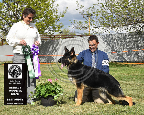 Reserve Winners Bitch Best Puppy