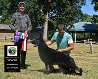 Winners Dog Best Opposite