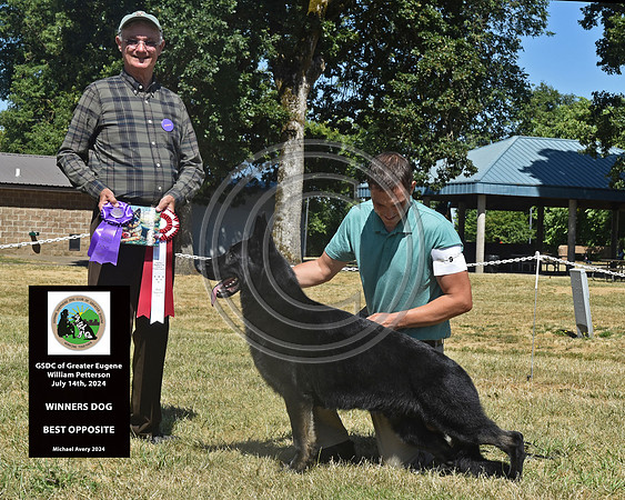 Winners Dog Best Opposite