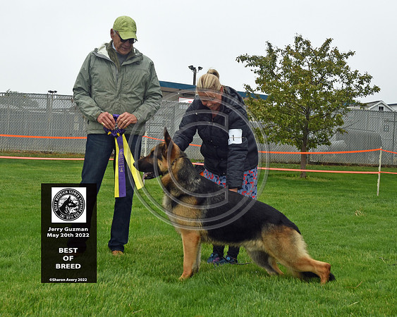 Best of Breed