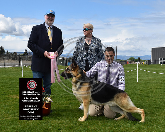 Reserve Maturity Dog