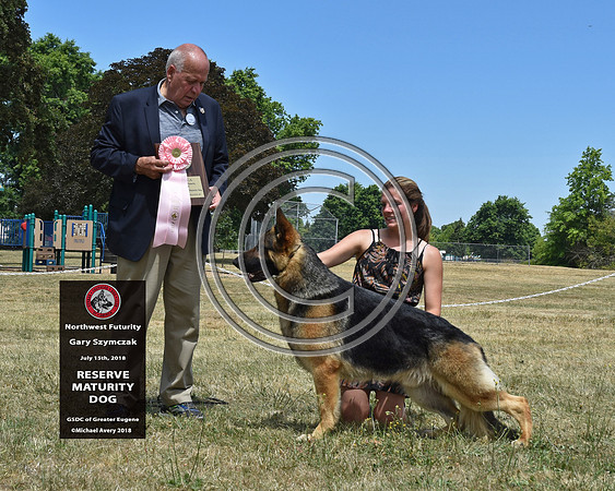 Reserve Maturity Dog