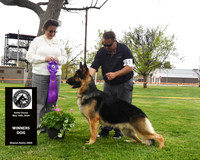 Winners Dog