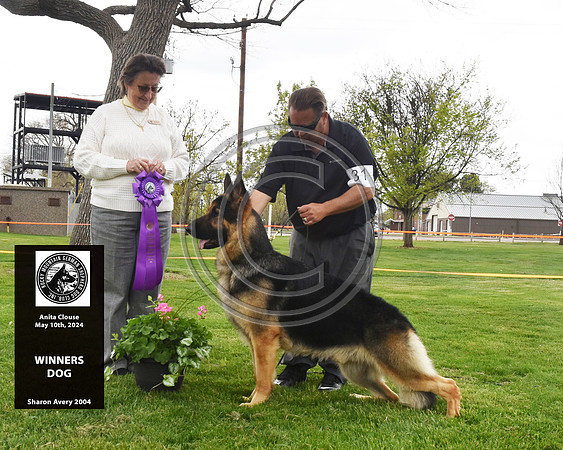 Winners Dog